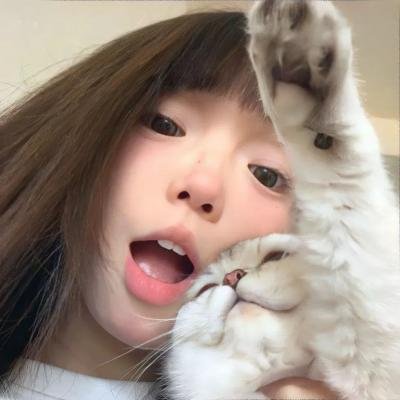 都柏林动物
